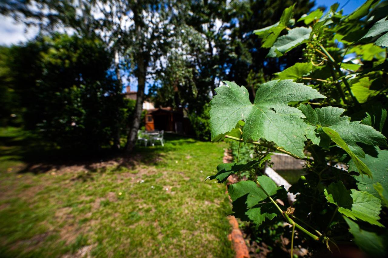 Mirguet Au Jardin Daire Saint-Elix-le-Chateau Dış mekan fotoğraf